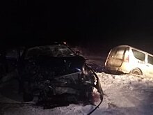 В районе Башкирии сегодня вечером скончался в ДТП местный житель