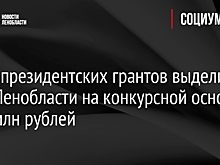 Фонд президентских грантов выделит НКО Ленобласти на конкурсной основе 46,2 млн рублей