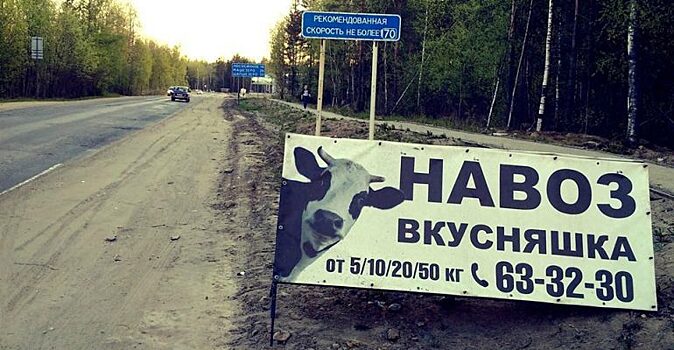 «Навоз «Вкусняшка» и другие «шедевры» рекламы на баннерах: 15 смешных фото