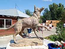 За что в Барнауле поставили памятник собаке Варе