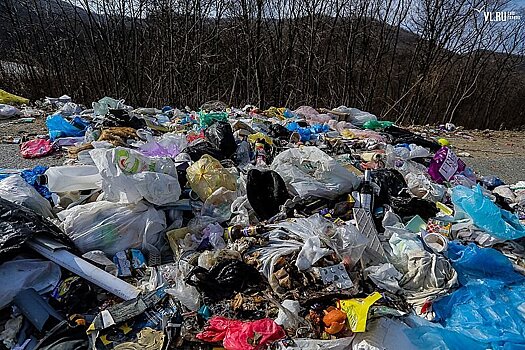 Карельские власти отказались от создания мусоросортировочной линии в Медвежьегорском районе