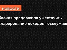 «Яблоко» предложило ужесточить декларирование доходов госслужащих