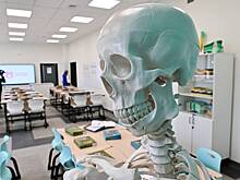 Почему обществознание решили исключить из программы и на что это повлияет