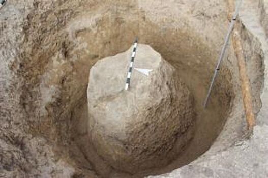 Новосибирские археологи нашли на раскопках странный предмет из клювов птиц