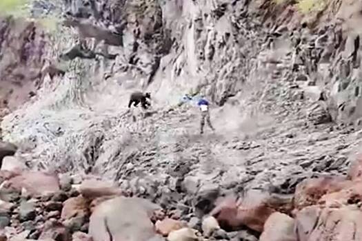 Гид спас российских туристов от медведя с помощью камней и ведра и попал на видео