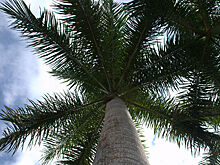 Какой сегодня праздник