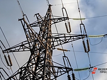 Из-за обрезки деревьев без электричества останутся десятки деревень в Рязанской области