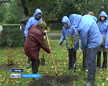 В Немане появился новый сквер