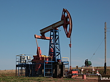 Президент Казахстана поручил наладить продажи нефти в обход РФ