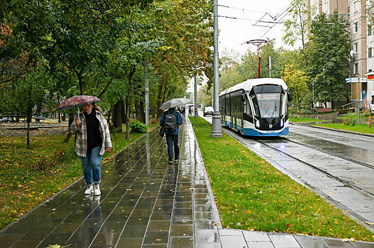 Москвичам спрогнозировали облачную погоду с небольшими дождями в выходные