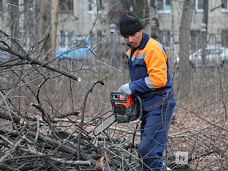 Нижегородцы чаще отказывают мигрантам в жилье после теракта в «Крокусе»