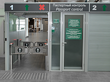 Провозили в ручной клади: в аэропорту Платов уничтожили творог, привезенный из Таджикистана