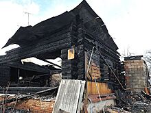 В Самаре на пожаре в зоогостинице погибли 40 кошек и собак