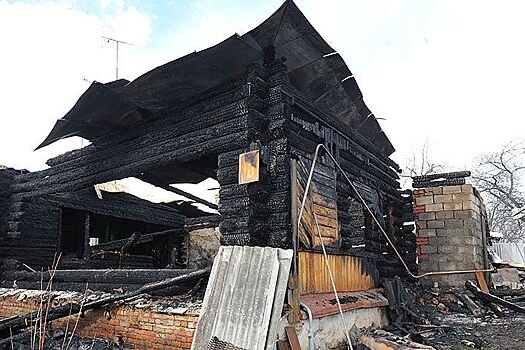 В Самаре на пожаре в зоогостинице погибли 40 кошек и собак