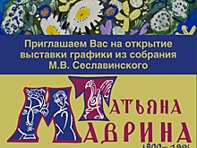 Выставка работ Татьяны Мавриной откроется в НГХМ
