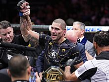 Алекс Перейра — Ян Блахович, UFC 291, кто фаворит, чемпион в полутяжёлом весе