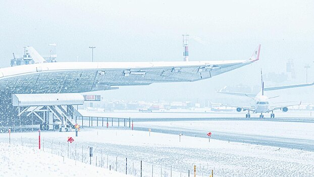 Во время снегопада в Москве у иностранных авиакомпаний возникли самые большие проблемы