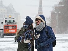 До пяти сантиметров снега выпадет в Москве в ночь на пятницу