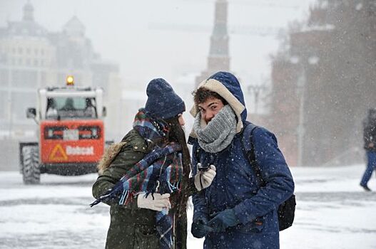 До пяти сантиметров снега выпадет в Москве в ночь на пятницу