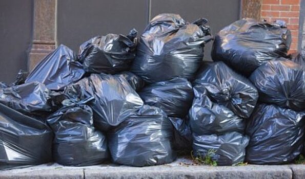 В Орле от 15% до 25% жителей не платят за вывоз мусора