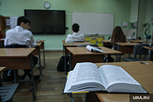 Курганские учителя боятся потерять работу после слияния двух школ