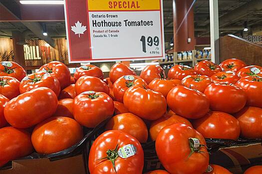 Варламов раскрыл цены на овощи и фрукты в Канаде