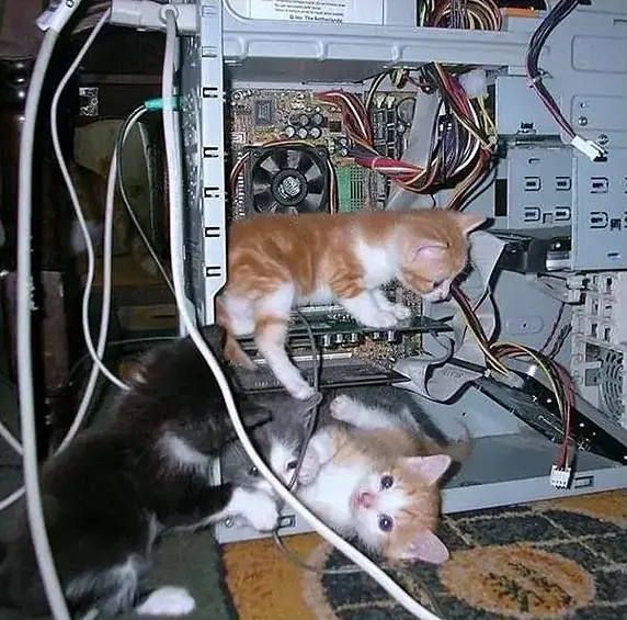 Команда молодых специалистов выполнит ремонт компьютерной техники.