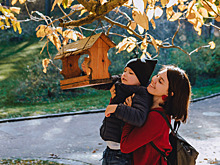 Помогите столичным птицам, белкам и ланям пережить зиму