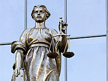 Серые мыши не только пожирают все вокруг, но и больно кусаются