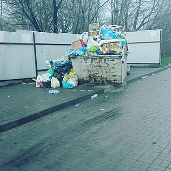 “Апокалипсиса нет”: в Калининграде за два дня нового года не вывезли мусор с 50 контейнерных площадок