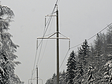 В европейской стране из-за сильного шторма без света остались более 160 тысяч домов