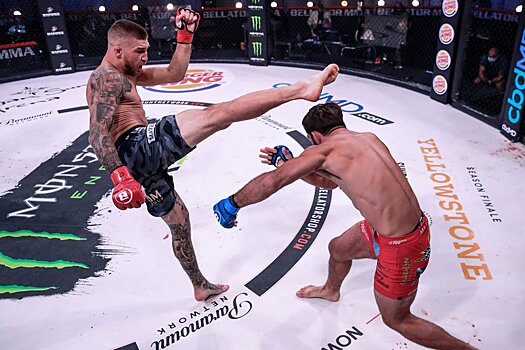 Bellator 244: Ярослав Амосов победил Марка Леммингера техническим нокаутом