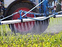 Украина скрывает, что торгует запрещенным ГМО-зерном