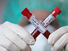 Новые случаи коронавируса выявлены в 14 районах Ленобласти
