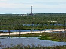 «Газпром нефть» приобрела долю компании Shell в ямальском проекте