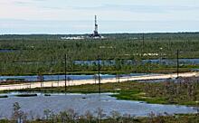 Ямал назвали перспективным регионом для поиска нефти и газа