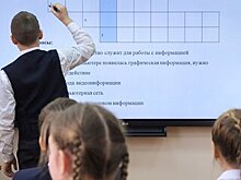 В Минпросвещения заявили, что в РФ нет предпосылок к досрочному окончанию учебного года