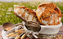 6 советов, которые помогут вам выбрать качественный хлеб