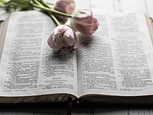 Книжные цитаты о счастье