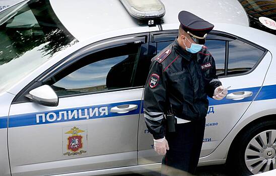 Москвич избил двух полицейских