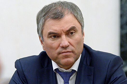 Володин проголосовал на выборах мэра Москвы