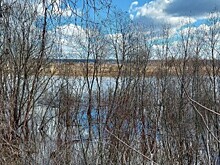 В Калужской области спасатели на лодках ищут 80-летнего рыбака