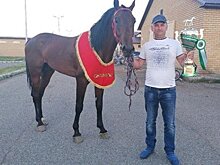 "Инстаграм" глав районов Татарстана: аккаунты захватили поля, кони как локомотив района и коронавирусные будни