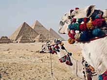 «Это все очень печально». Россиянку шокировали туалеты Египта