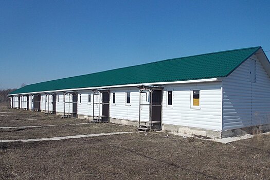 Почему орловских сирот поселили в одноразовые квартиры