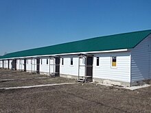 Почему орловских сирот поселили в одноразовые квартиры