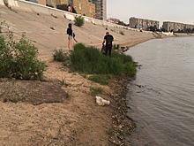 В центре Омска заметили мусорных фей