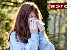Биолог оценил риски раннего сезона аллергий в этом году