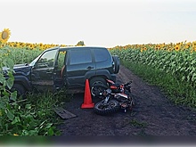 В Мордовии в поле столкнулись «Нива» и мотоцикл