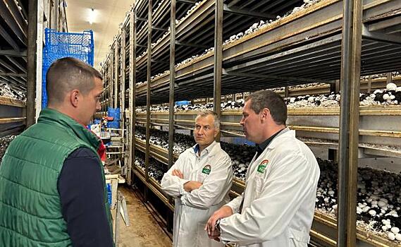 Александр Чепик побывал на предприятии «Грибная радуга» под Курском